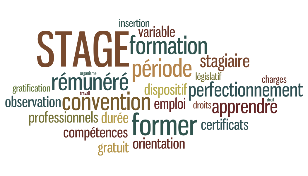 insertion professionnelle
